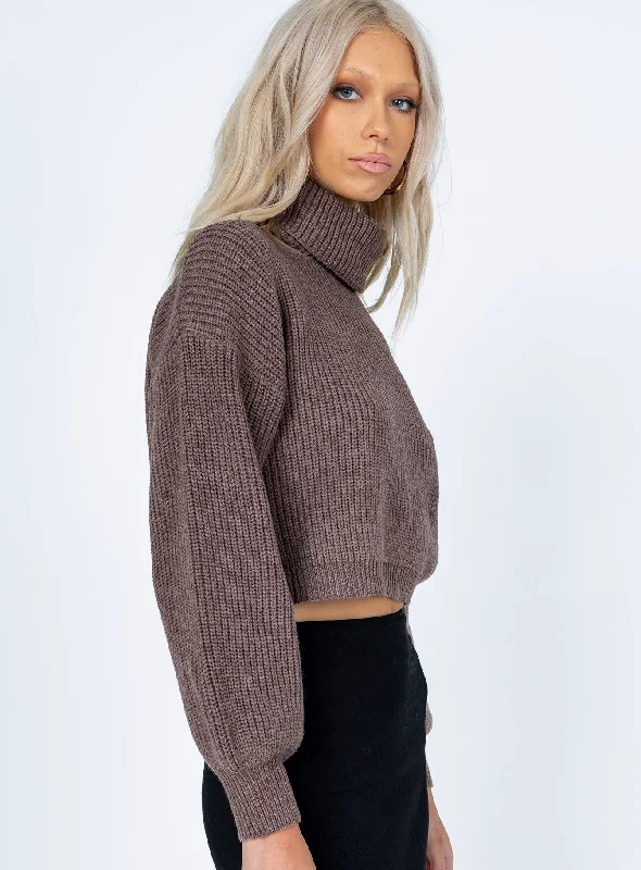 Zita Turtleneck Sweater Brown